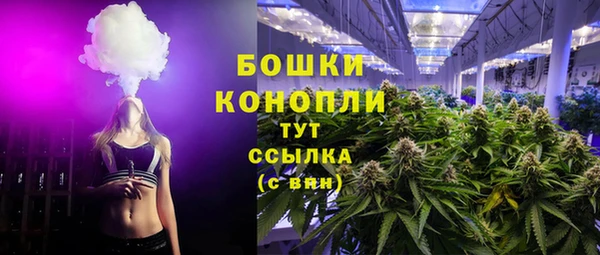 apvp Гусь-Хрустальный
