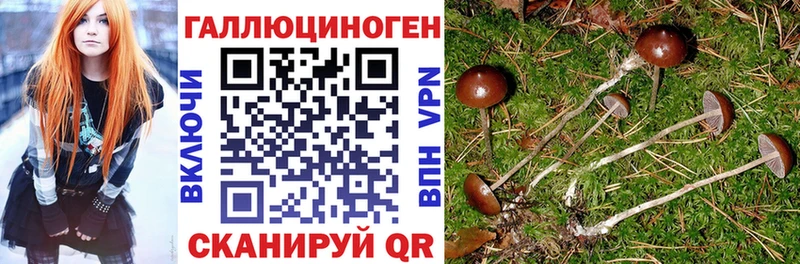 Псилоцибиновые грибы ЛСД  Купить закладки  Емва 